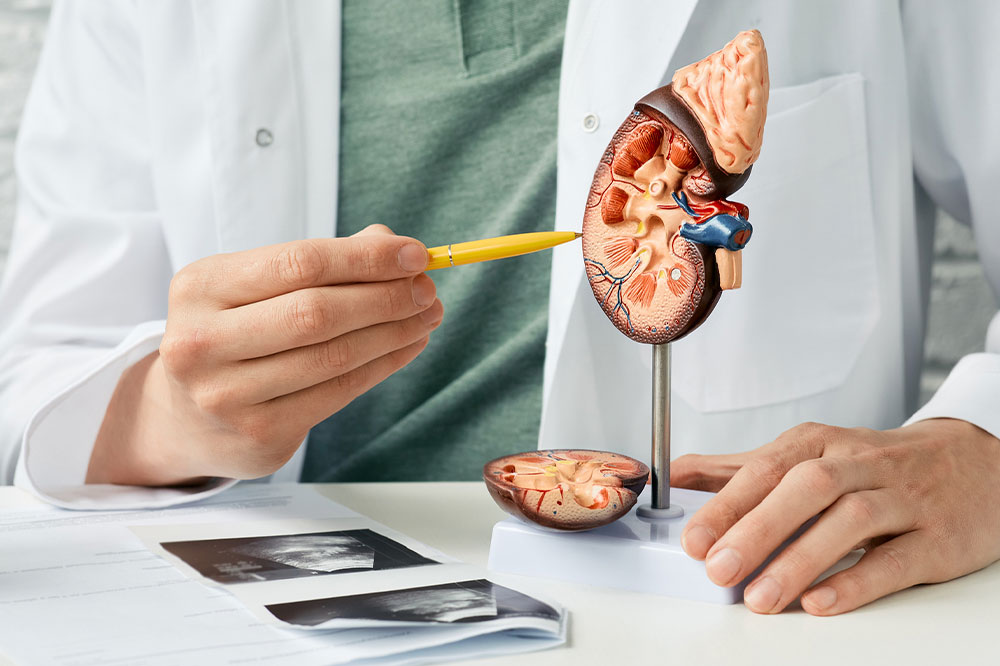 Angiomyolipoma – Symptoms, causes, and management